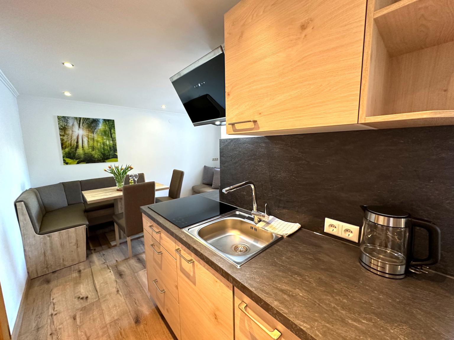 Ferienwohnung Kreuzkogel Küche mit Blick zum wohnteil bei GRUBERS Hotel Apartments Gastein