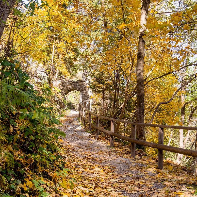 Herbst in Gastein mit buntem Laub und Wanderweg