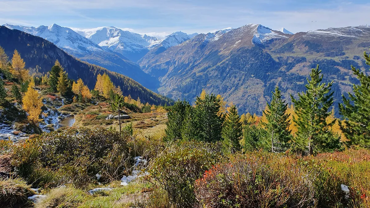 Herbstliche Stimmung im Gasteinertal mit leicht verschneiten Gipfeln im Hintergrund