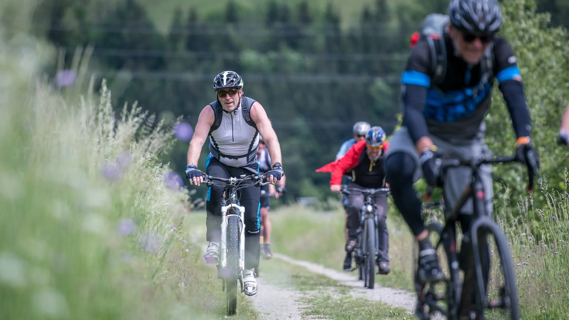 Radfahrer auf einem Weg zwischen Wiesen und bewaldeten Hängen