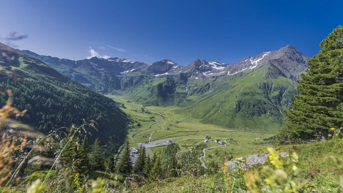 Weites grünes Nassfeld bei Sportgastein unter blauem Himmel