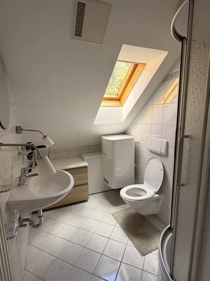 Badezimmer der Ferienwohnung Graukogel mit Waschbecken, WC, Dusche und Dachfenster
