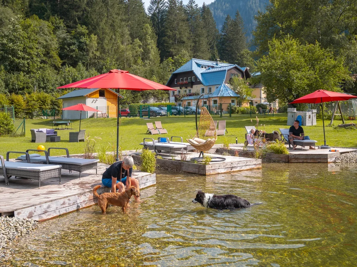 Hunde am eigenen Hundebadeteich von GRUBERS mit Sonnensteg und Garten