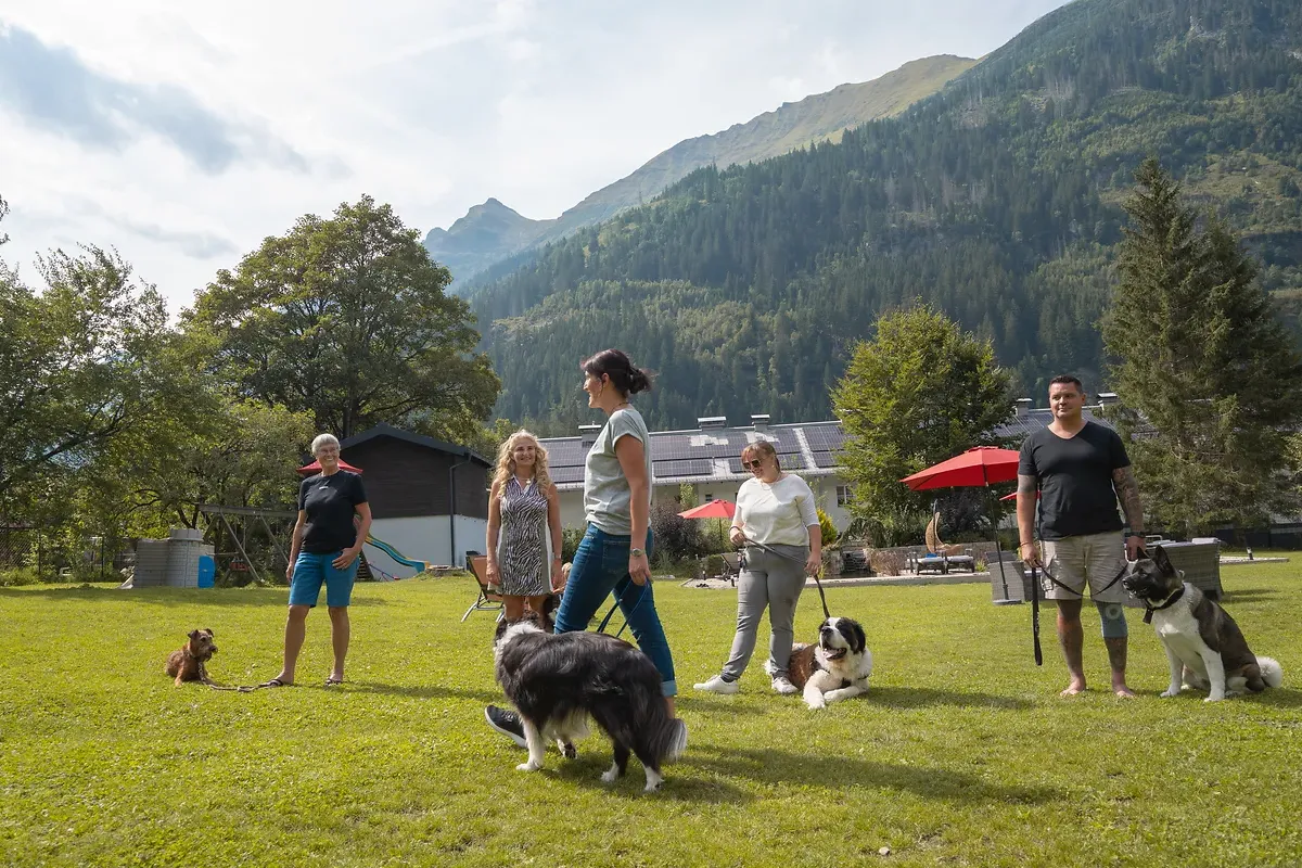 Social Walk und Hundetraining mit mehreren Hunden bei GRUBERS in Bad Gastein