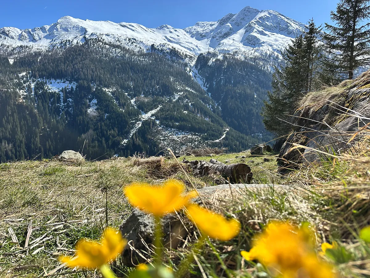 Frühlingsaussicht auf die Berge in Bad Gastein bei Grubers Hotel Apartments