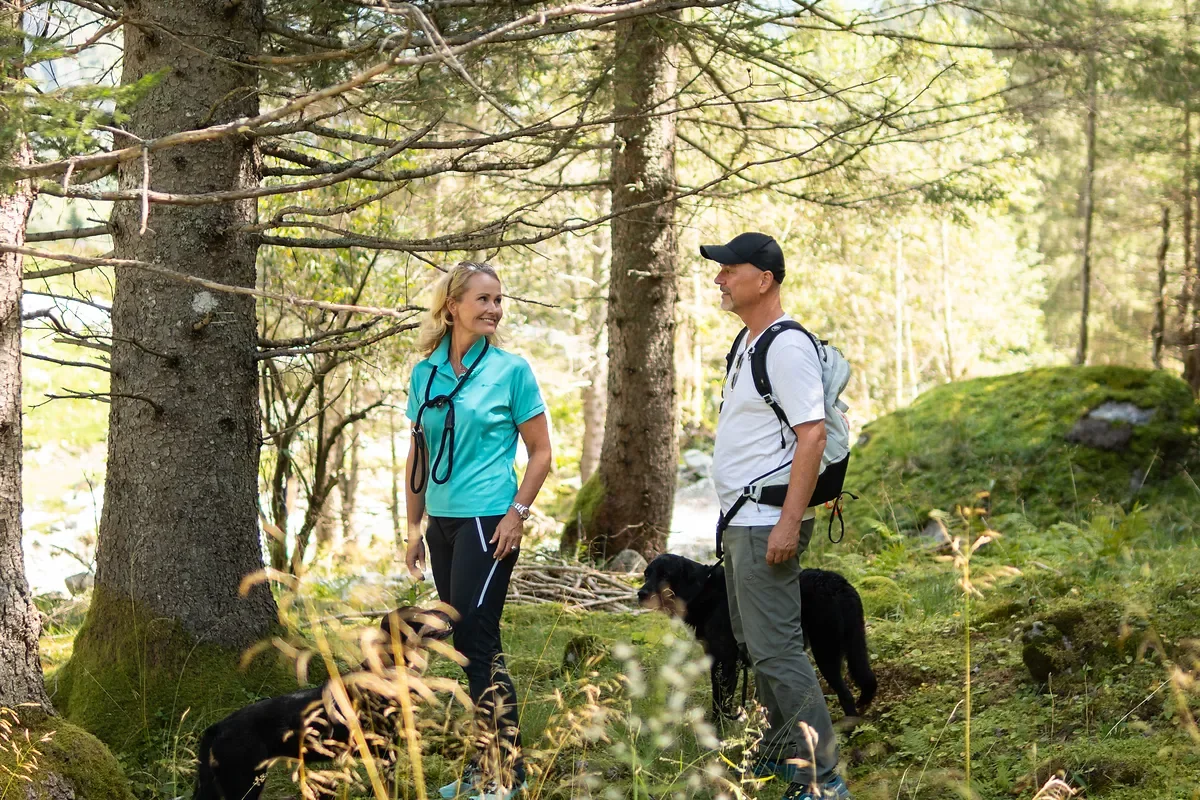 Spaziergang im Wald bei Bad Gastein mit Hund